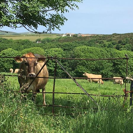 Trengothal Barn Leilighet Porthcurno Eksteriør bilde