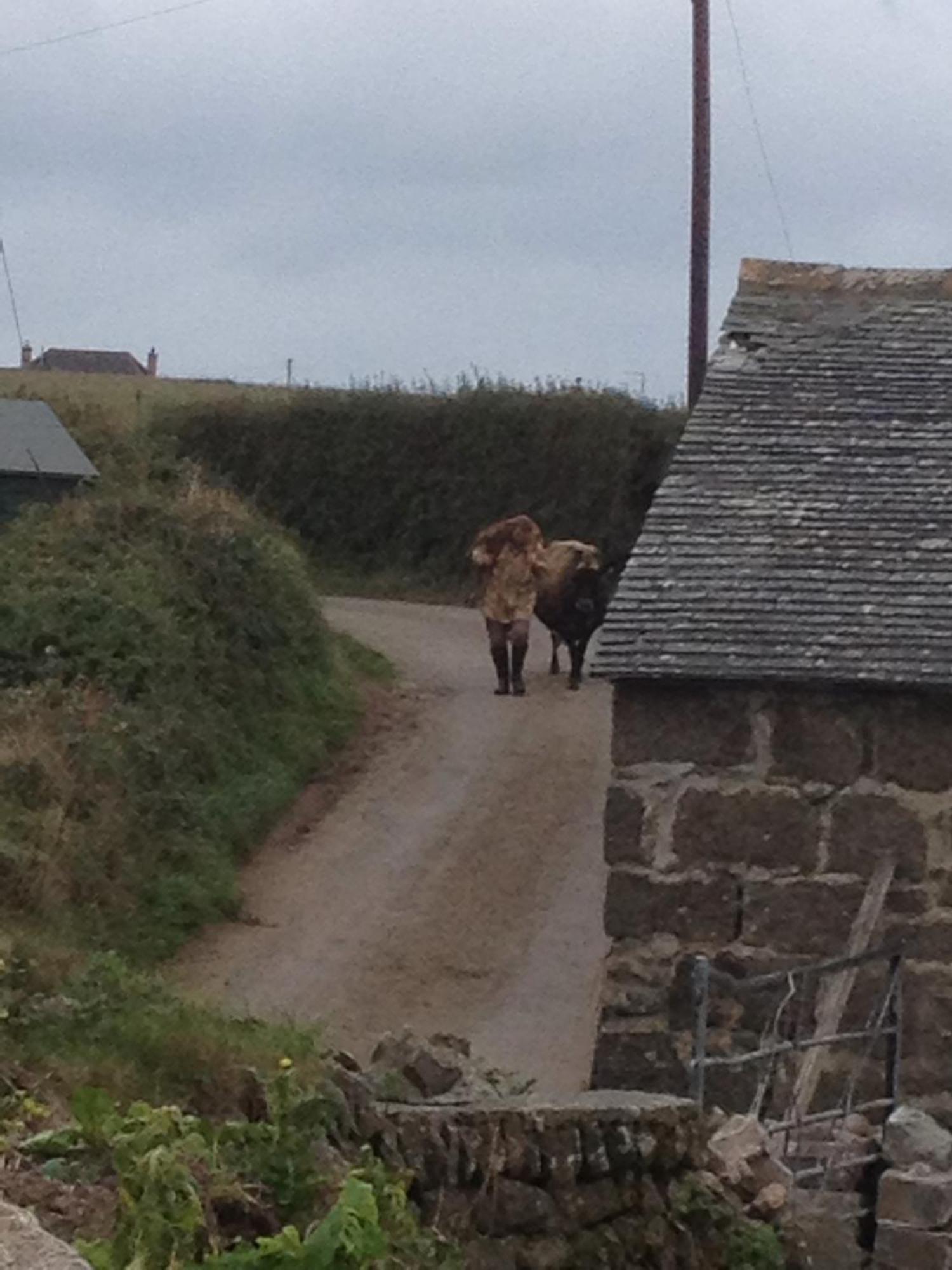 Trengothal Barn Leilighet Porthcurno Eksteriør bilde