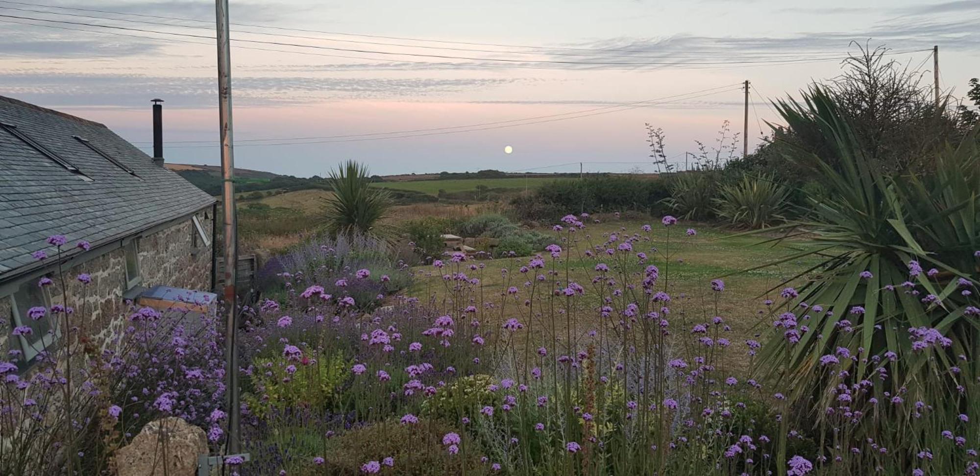 Trengothal Barn Leilighet Porthcurno Eksteriør bilde