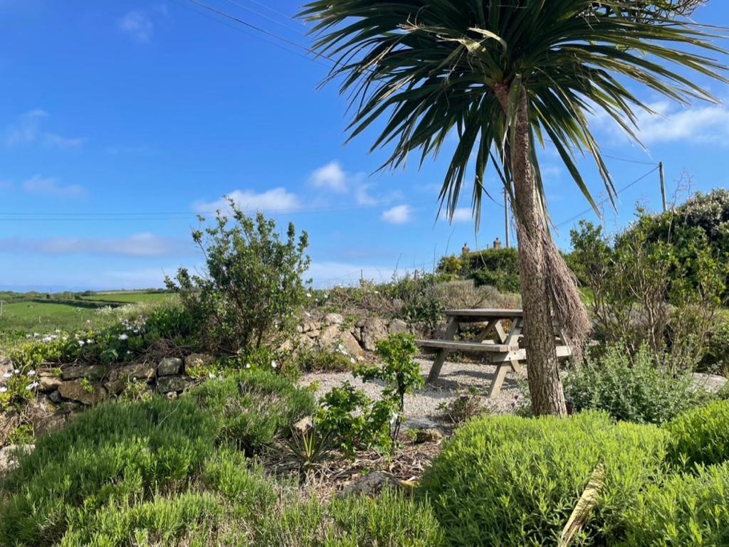 Trengothal Barn Leilighet Porthcurno Eksteriør bilde