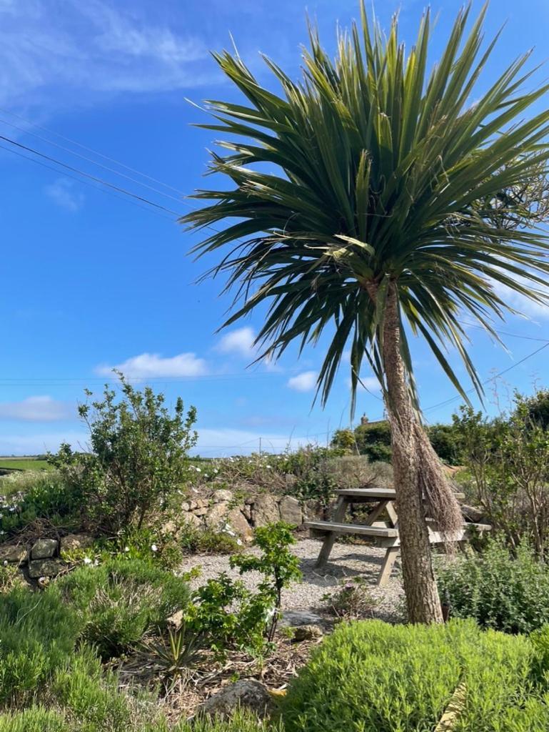 Trengothal Barn Leilighet Porthcurno Eksteriør bilde